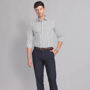 Men's Vertical Stripe Regular Fit Formal Shirt