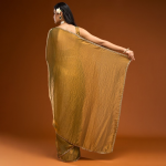 Solid Beads and Stones Saree
